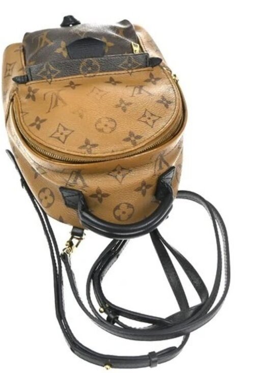 LOUIS VUITTON Palm Springs Mini Backpack Monogram Reverse Brown M44872 98KD053 main image 14